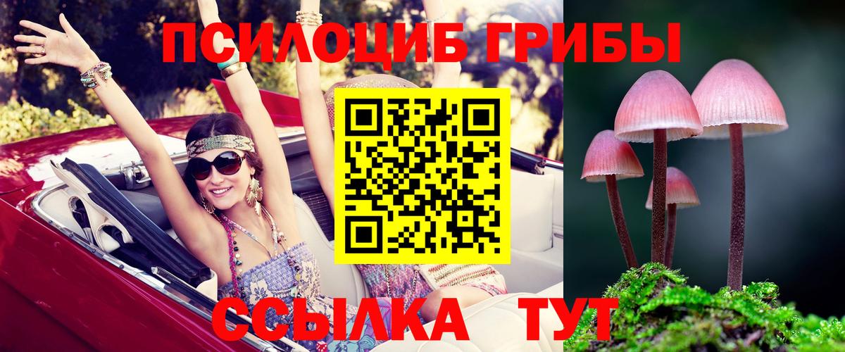 Псилоцибиновые грибы мухоморы Тара