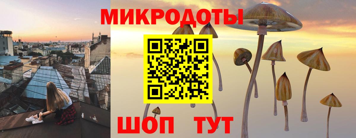 Галлюциногенные грибы прущие грибы  как найти наркотики  Тара  Вход с VPN 